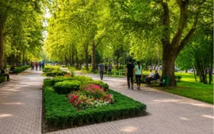 Green Areas and Landscaping
