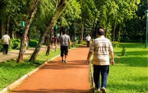 Walking and Jogging Paths