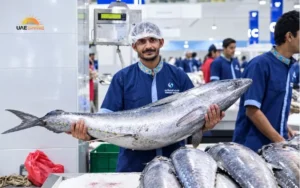 Popular Fish to Look For