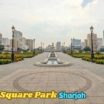Sheikh Zayed Road, Dubai Complete 2026 Guide for Drivers, Renters, and Visitors