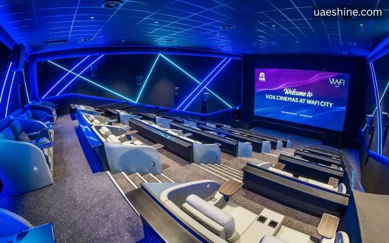 Cinema Experience