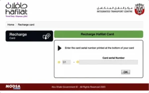 3. Incorrect Card Details