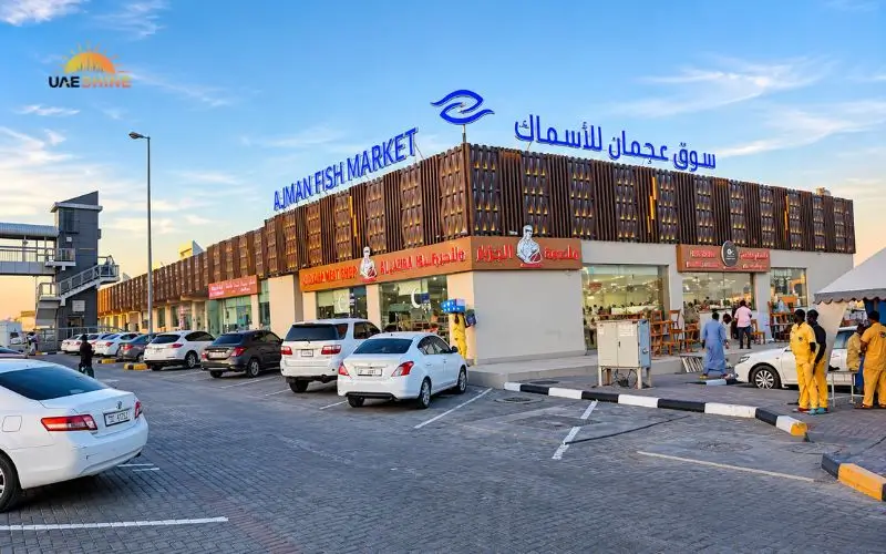 Ajman Fish Market