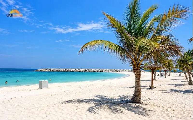 Mamzar Beach Park