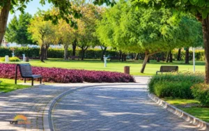 Green spaces and relaxation